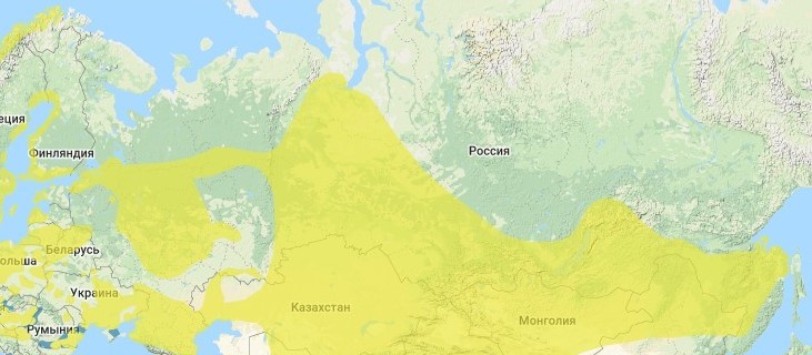 карта 3.jpg карта 3.jpg